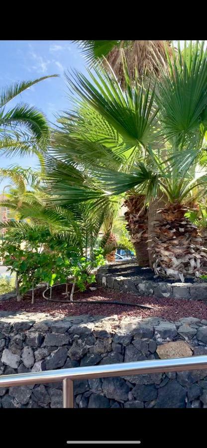 138 Los Angeles, Los Cristianos Close To The Ocean Los Cristianos (Tenerife) Exterior photo